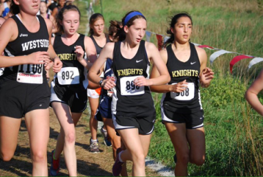 PNG image-8C37C64F2E33-1